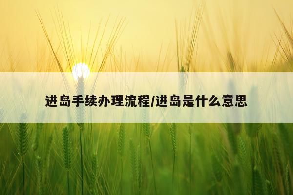 进岛手续办理流程/进岛是什么意思