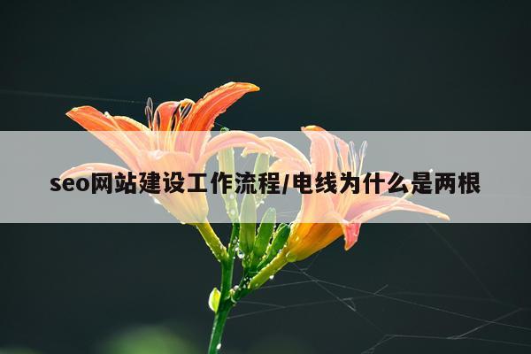 seo网站建设工作流程/电线为什么是两根