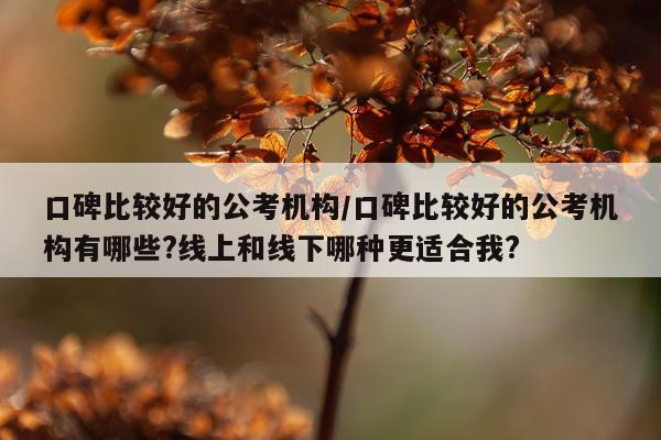 口碑比较好的公考机构/口碑比较好的公考机构有哪些?线上和线下哪种更适合我?