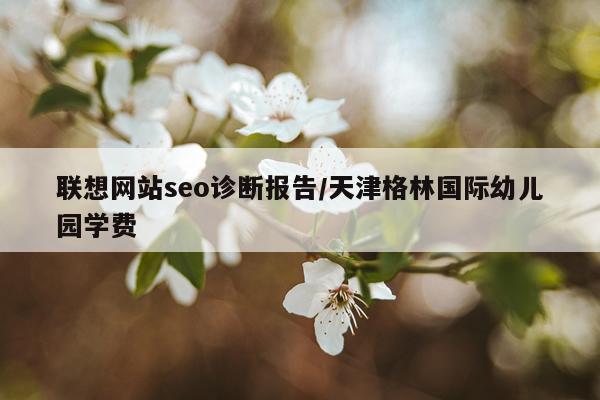联想网站seo诊断报告/天津格林国际幼儿园学费