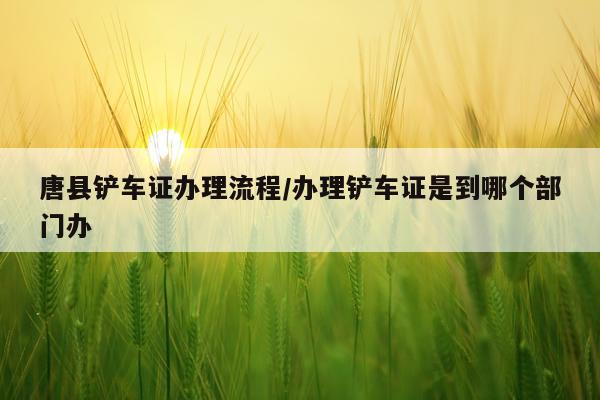 唐县铲车证办理流程/办理铲车证是到哪个部门办