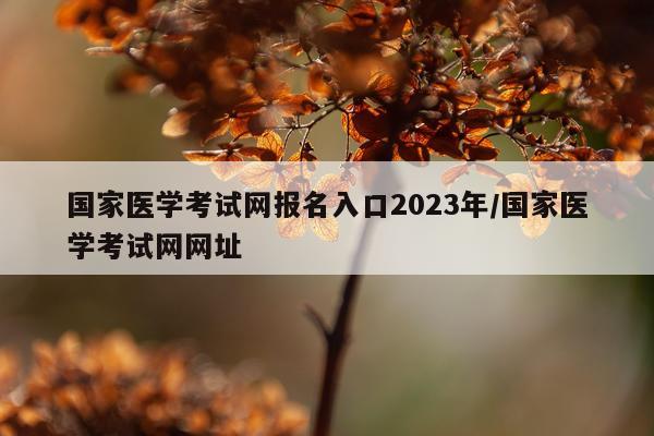 国家医学考试网报名入口2023年/国家医学考试网网址