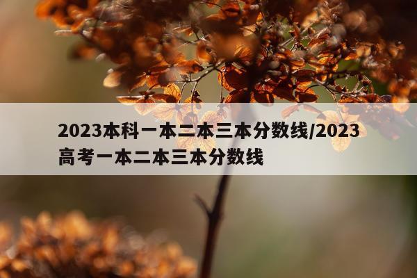 2023本科一本二本三本分数线/2023高考一本二本三本分数线