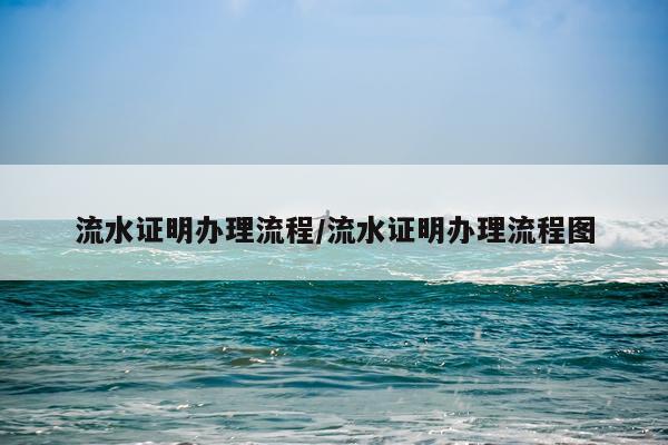 流水证明办理流程/流水证明办理流程图