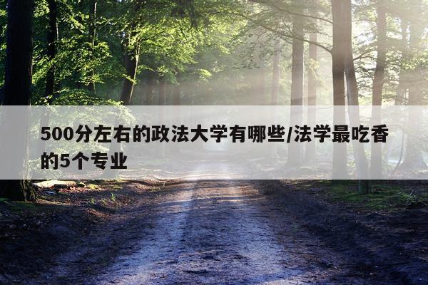 500分左右的政法大学有哪些/法学最吃香的5个专业
