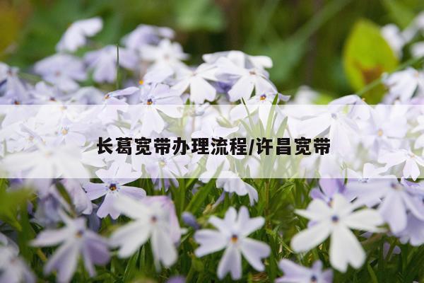 长葛宽带办理流程/许昌宽带