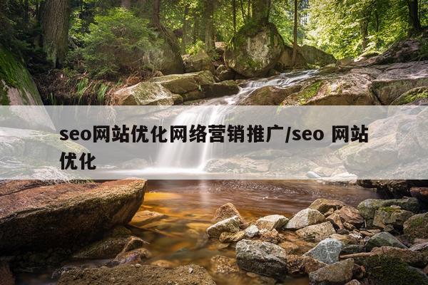 seo网站优化网络营销推广/seo 网站优化