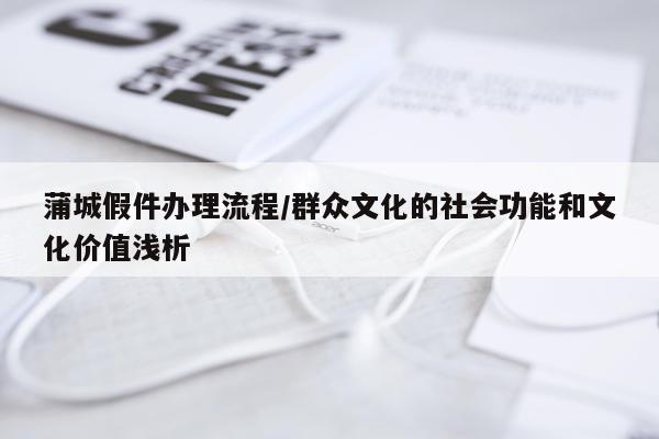 蒲城假件办理流程/群众文化的社会功能和文化价值浅析