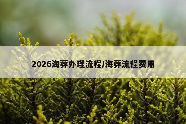 2026海葬办理流程/海葬流程费用