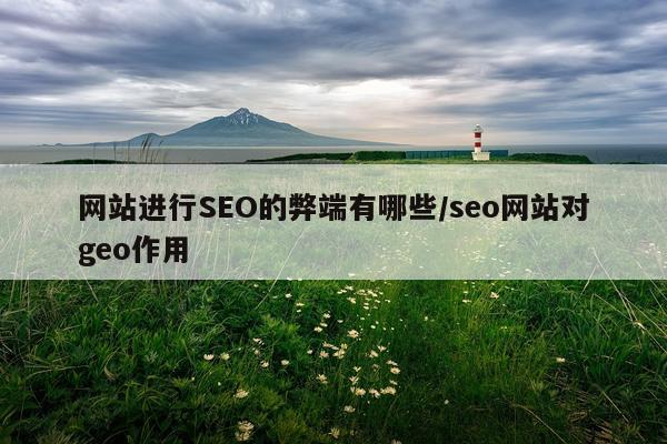 网站进行SEO的弊端有哪些/seo网站对geo作用
