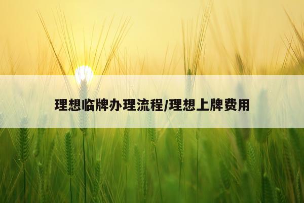 理想临牌办理流程/理想上牌费用