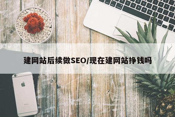 建网站后续做SEO/现在建网站挣钱吗