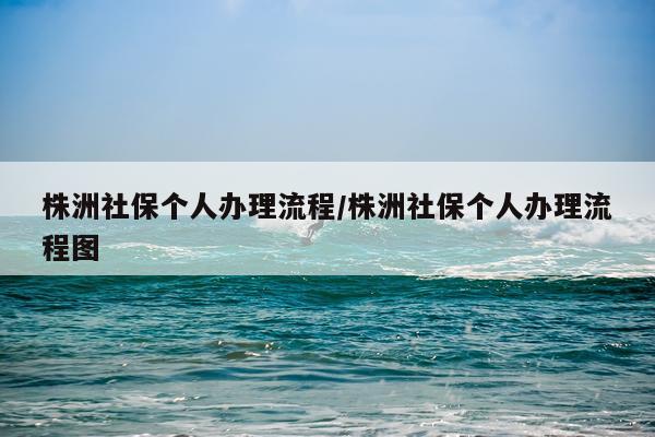 株洲社保个人办理流程/株洲社保个人办理流程图