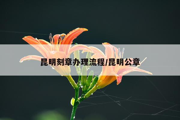 昆明刻章办理流程/昆明公章