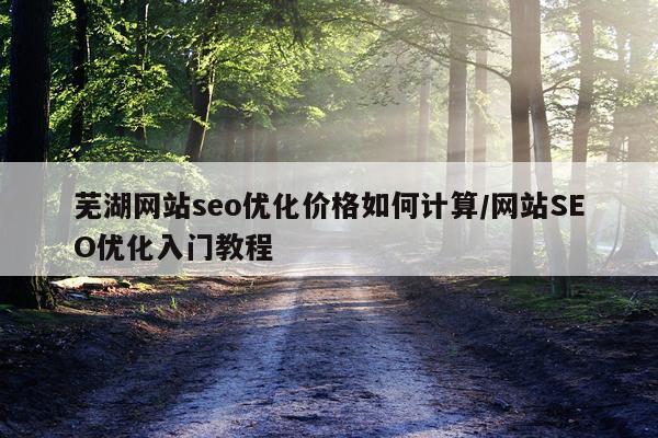 芜湖网站seo优化价格如何计算/网站SEO优化入门教程