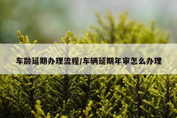 车龄延期办理流程/车辆延期年审怎么办理