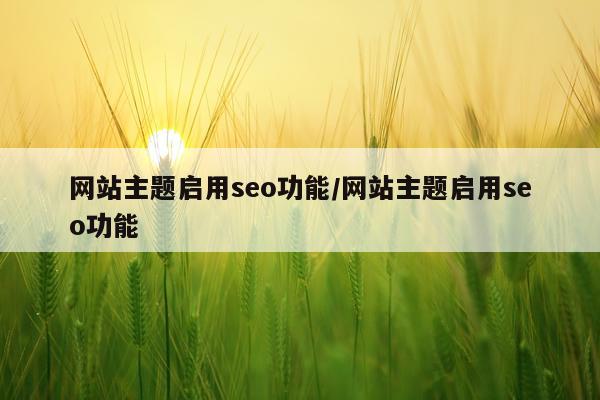 网站主题启用seo功能/网站主题启用seo功能