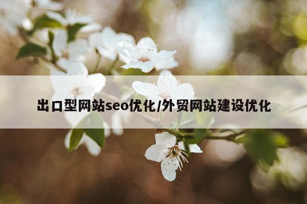 出口型网站seo优化/外贸网站建设优化