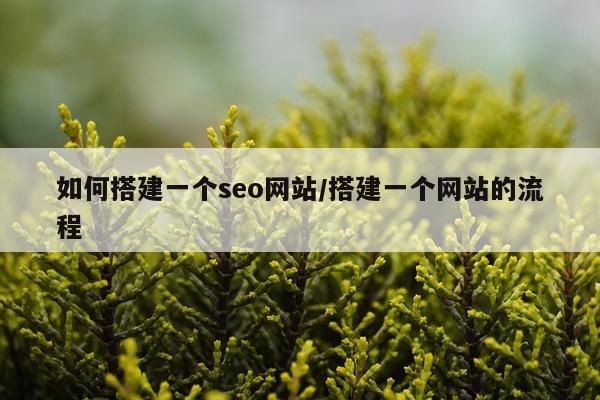 如何搭建一个seo网站/搭建一个网站的流程