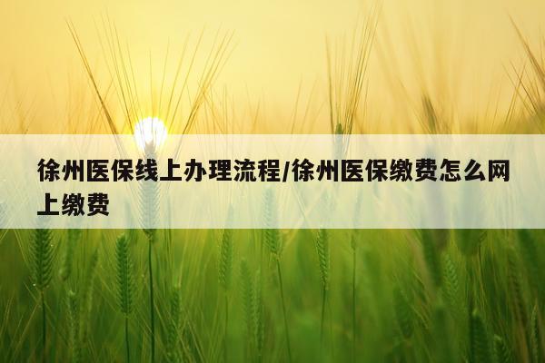 徐州医保线上办理流程/徐州医保缴费怎么网上缴费