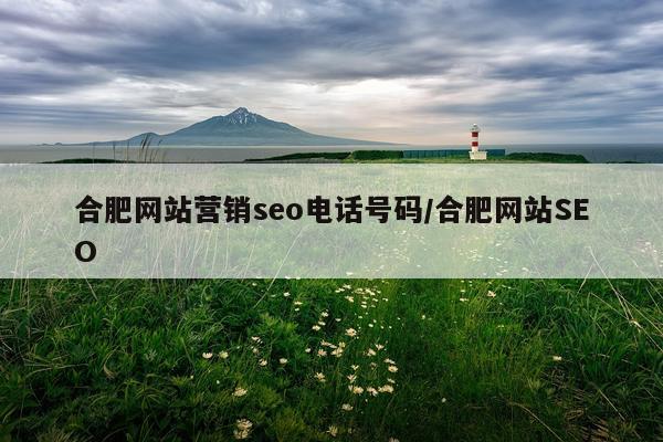 合肥网站营销seo电话号码/合肥网站SEO