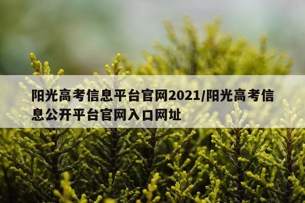 阳光高考信息平台官网2021/阳光高考信息公开平台官网入口网址