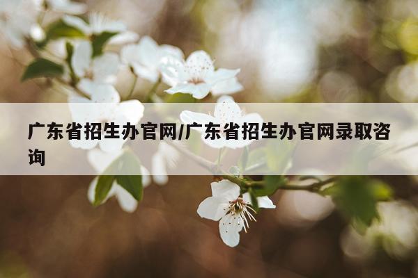 广东省招生办官网/广东省招生办官网录取咨询