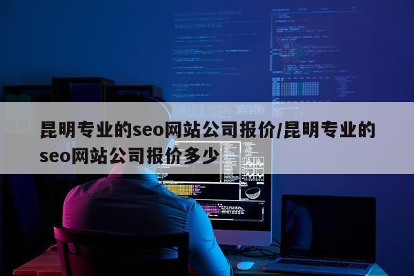 昆明专业的seo网站公司报价/昆明专业的seo网站公司报价多少