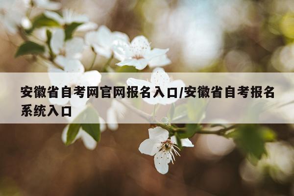 安徽省自考网官网报名入口/安徽省自考报名系统入口