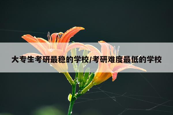 大专生考研最稳的学校/考研难度最低的学校