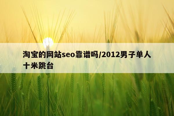 淘宝的网站seo靠谱吗/2012男子单人十米跳台
