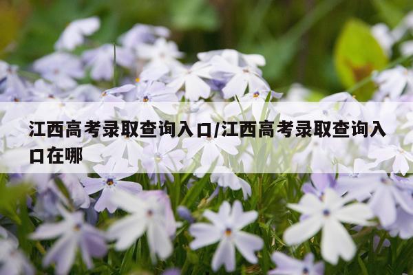 江西高考录取查询入口/江西高考录取查询入口在哪
