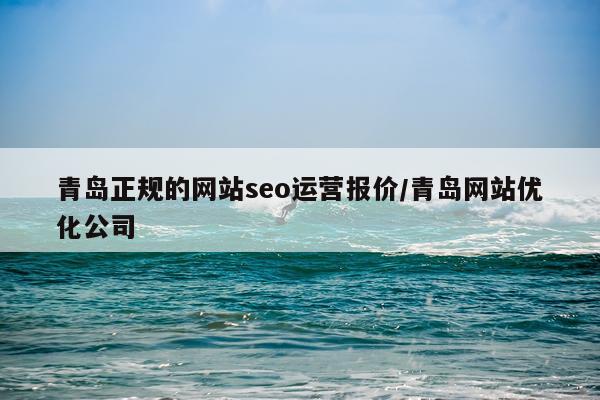 青岛正规的网站seo运营报价/青岛网站优化公司
