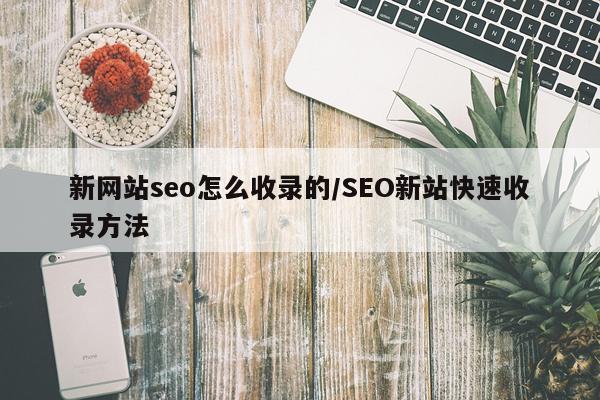 新网站seo怎么收录的/SEO新站快速收录方法