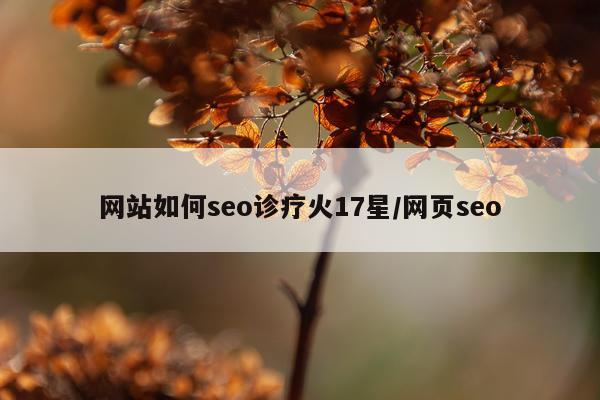 网站如何seo诊疗火17星/网页seo