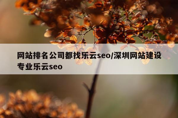 网站排名公司都找乐云seo/深圳网站建设专业乐云seo