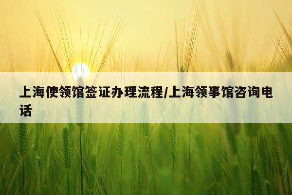 上海使领馆签证办理流程/上海领事馆咨询电话