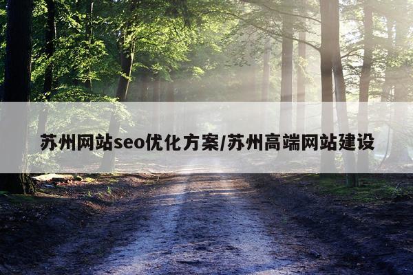 苏州网站seo优化方案/苏州高端网站建设