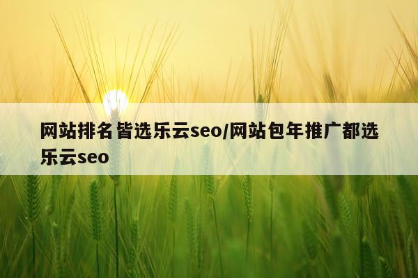 网站排名皆选乐云seo/网站包年推广都选乐云seo