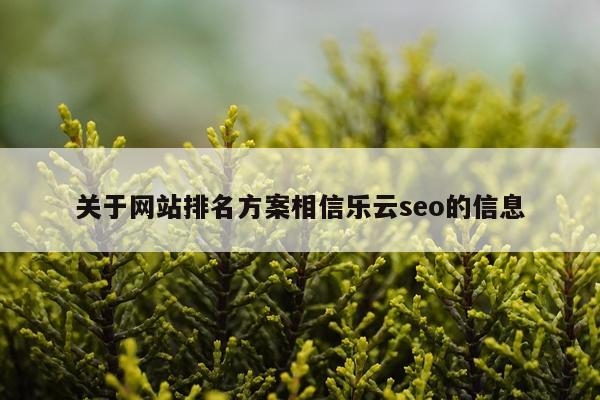 关于网站排名方案相信乐云seo的信息
