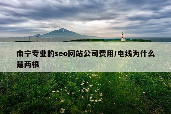南宁专业的seo网站公司费用/电线为什么是两根