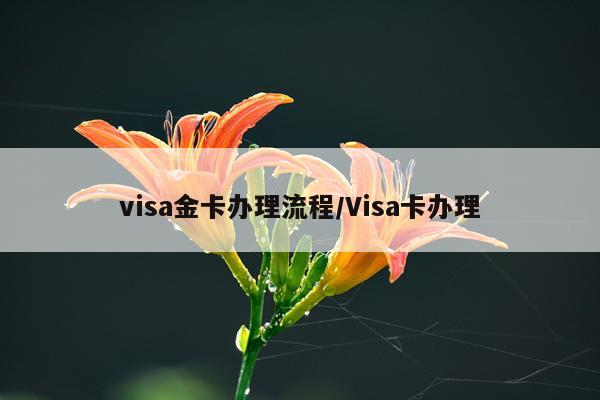 visa金卡办理流程/Visa卡办理