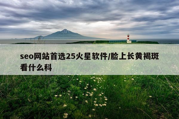 seo网站首选25火星软件/脸上长黄褐斑看什么科