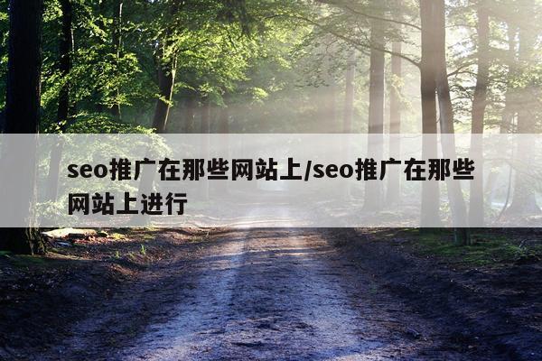 seo推广在那些网站上/seo推广在那些网站上进行