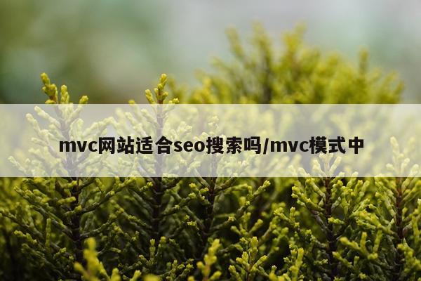 mvc网站适合seo搜索吗/mvc模式中