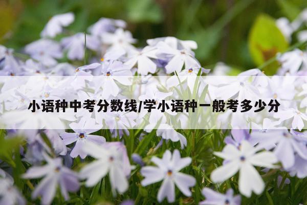 小语种中考分数线/学小语种一般考多少分