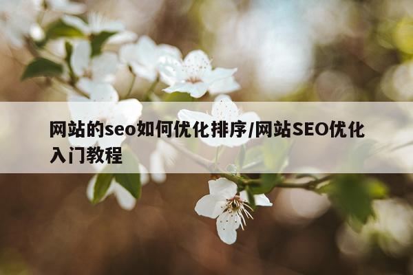 网站的seo如何优化排序/网站SEO优化入门教程