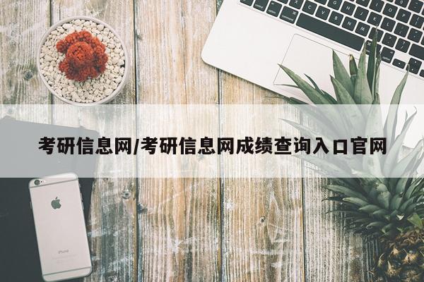 考研信息网/考研信息网成绩查询入口官网