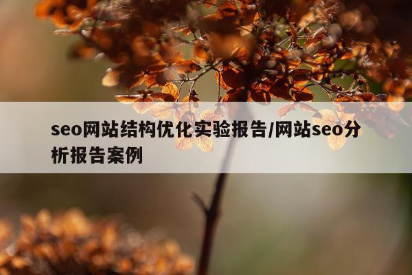 seo网站结构优化实验报告/网站seo分析报告案例