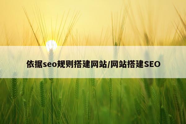 依据seo规则搭建网站/网站搭建SEO